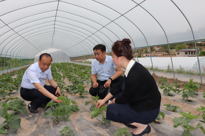 黨建引領促發展 技術扶貧暖人心——蘭州高新區“兩新”組織黨委攜手愛心企業開展“支部結對共建、助力脫貧攻堅”主題黨日活動側記